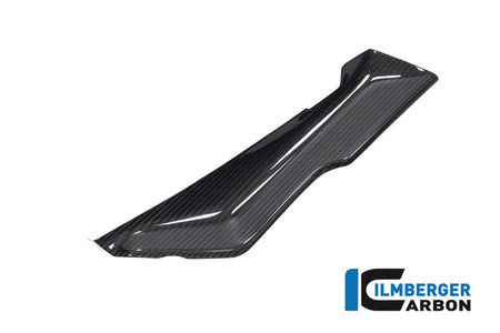 Osłona pod przednią owiewkę lewa BMW R 1250 RS (LC) od 2019 ILMBERGER VLO.003.125RS.K