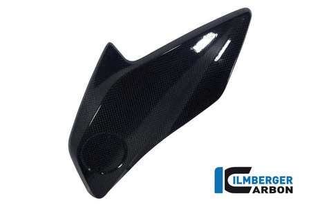 Osłona chłodnicy prawa - carbon BMW R 1200 GS (LC) (2013-2016) ILMBERGER KAR.032.GS12L.K