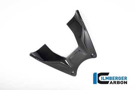 Osłona zbiornika paliwa do motocykla Ducati Diavel V4 (od 2023) - połysk ILMBERGER TAO.024.DI23G.K