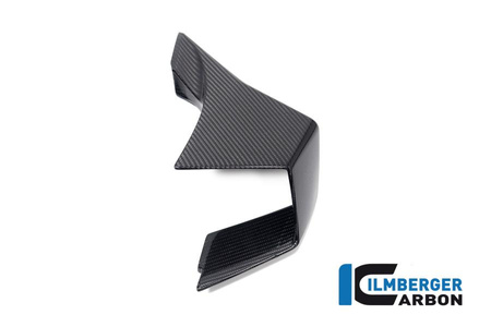 Winglet prawy do motocykla BMW M 1000 RR Racing (2023-2024) - ILMBERGER CG.VFR.005.M123S