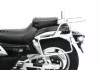 Kawasaki EL 250 (1994)/EL 252 (1996-2003) complete carrier