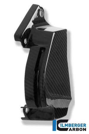 Osłona przedniej zębatki - carbon do BMW S 1000 R (2014-2016) ILMBERGER RIO.218.S100N.K