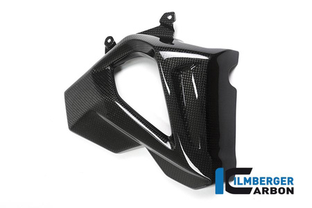 Pokrywa chłodnicy prawa - BMW F 800 R (od 2015) ILMBERGER WKR.104.F8R15.K