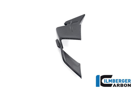 Winglet lewy owiewki bocznej do motocykla BMW S 1000 RR Racing (2023-2024) - ILMBERGER CG.VFL.001.S123S