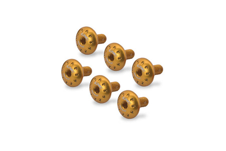 CNC RACING ZESTAW ŚRUB CHŁODNICY, KOLOR ZŁOTY