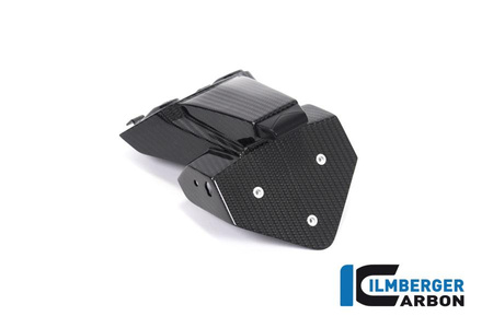 Uchwyt tablicy rejestracyjnej do motocykla BMW M 1000 R (2023-2024) - ILMBERGER CG.NHO.003.S119S