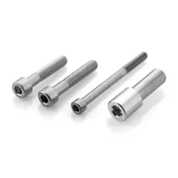 PROGUARD SYSTEM® and Rizoma End Mount mirror Mounting kit