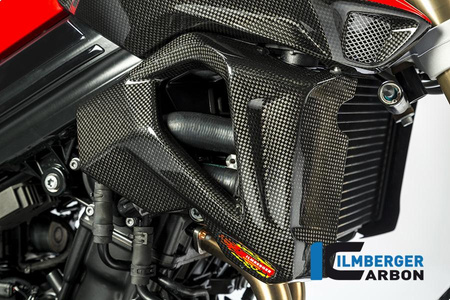 Pokrywa chłodnicy prawa - BMW F 800 R (od 2015) ILMBERGER WKR.104.F8R15.K