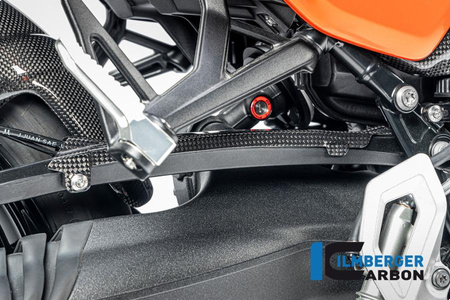 Osłona przewodu hamulcowego - carbon glossy BMW R 12 NineT od 2024 ILMBERGER CG.BLA.005.R12NT