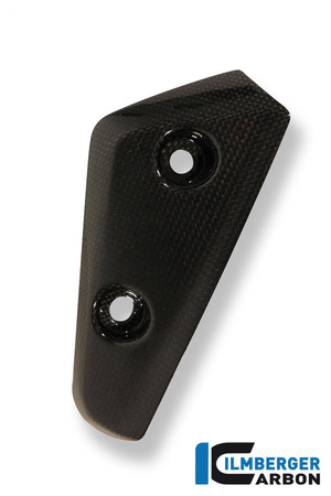 Deflektor powietrza na przednim błotniku (lewy) - carbon TRIUMPH Speed Triple (2011-now) ILMBERGER KFL.021.TRSPT.K