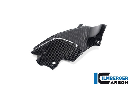 Osłony przewodów dolotowych prawe - połysk do Ducati Streetfighter V2 (od 2022) ILMBERGER WAR.010.V2SFG.K