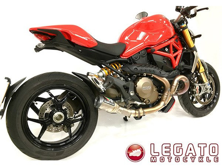 Tłumik końcowy + decat Austin Racing DUCATI MONSTER 821/1200