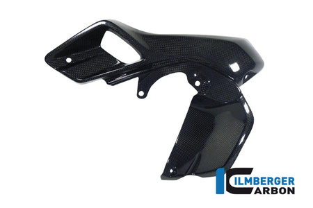 Osłona górna chłodnicy wodnej lewa (airtube) - carbon BMW R 1200 GS (LC) 2013-2016 ILMBERGER WKL.026.GS12L.K