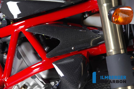Zestaw osłon zbiornika wodnego lewy i prawy - carbon Einzelstcke MV Agusta Brutale 750/910 ILMBERGER WAB.013.MVBRU.K