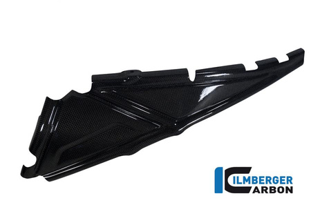 Osłona ramy tylnej lewa carbon do motocykla BMW R 1200 GS (LC) (2013-2016) ILMBERGER RHL.015.GS12L.K
