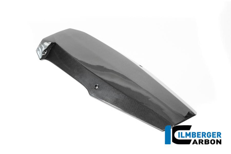 Spoiler motocyklowy carbon glossy BMW R 12 NineT (od 2024) - ilmbeger CG.VEU.010.R12NT