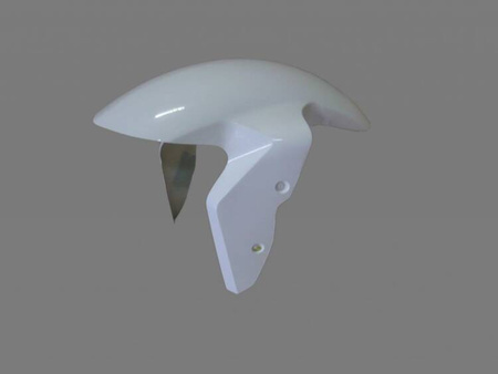 SEBIMOTO BŁOTNIK PRZEDNI CARBON BMW S1000RR 2009-2011