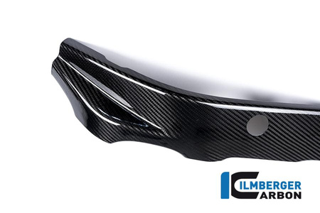 Nakładka na ramę lewa - carbon BMW S 1000 R (2014-2016) ILMBERGER RAL.217.S100N.K