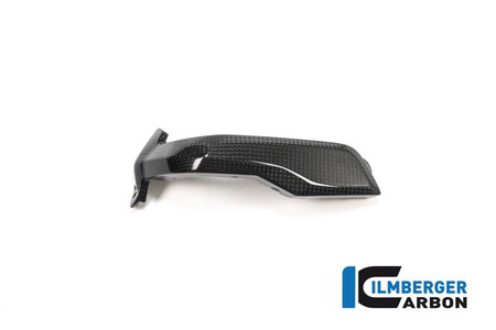 Osłona świecy zapłonowej lewa carbon - BMW R 1200 GS (LC) (2013-2016) ILMBERGER ZKL.001.LCBOX.K