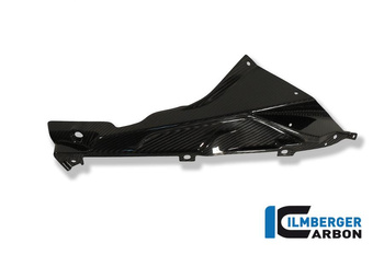 Panel boczny owiewki górny / uchwyt emblematu - carbon BMW S 1000 RR Straxe (2010-2014) / HP4 (od 2012) ILMBERGER VER.027.S100S.K