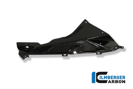 Panel boczny owiewki górny / uchwyt emblematu - carbon BMW S 1000 RR Straxe (2010-2014) / HP4 (od 2012) ILMBERGER VER.027.S100S.K