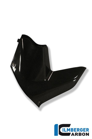 Deflektor wiatru carbon do motocykla DUCATI Multistrada 1200 (2010-2012) - karbon ILMBERGER LAR.009.MTS12.K