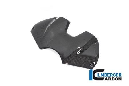 Panel przedni zbiornika - połysk do DUCATI Panigale V4 / V4 S / V4 R (od 2022) ILMBERGER TAO.001.V422G.K