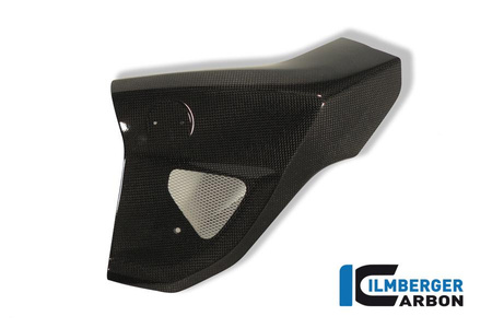 Osłona chłodnicy lewa - carbon BMW F 800 R (2009-2011) ILMBERGER WKL.003.F800R.K