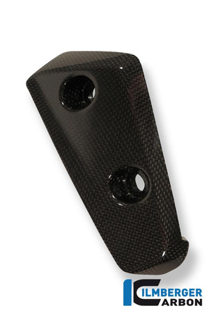 Lotka powietrzna przedniego błotnika prawa - carbon Triumph Speed Triple (2011-now) ILMBERGER KFR.022.TRSPT.K.