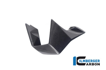 Winglet prawy do motocykla BMW M 1000 RR Racing (2023-2024) - ILMBERGER CG.VFR.005.M123S