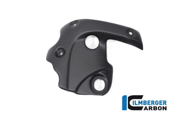 Osłona kolektora wydechowego - matowa DUCATI Diavel 1260 (od 2019) ILMBERGER AHD.104.DI19M.K