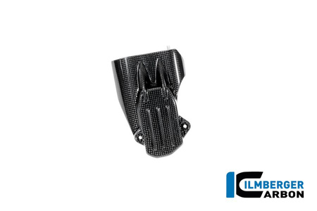 Pokrywa startera - carbon glossy do BMW R 12 NineT od 2024 ILMBERGER CG.LDO.015.R12NT