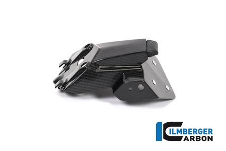 Uchwyt tablicy rejestracyjnej do motocykla BMW M 1000 R (2023-2024) - ILMBERGER CG.NHO.003.S119S