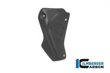Protektor wydechu matowy Ducati Monster 1200 R (od 2016) - matt ILMBERGER AHS.104.MR12M.K