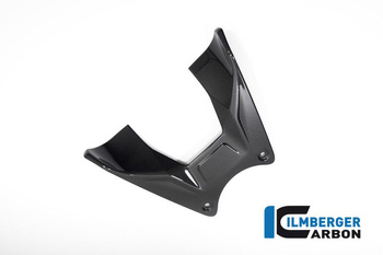 Osłona zbiornika paliwa do motocykla Ducati Diavel V4 (od 2023) - połysk ILMBERGER TAO.024.DI23G.K