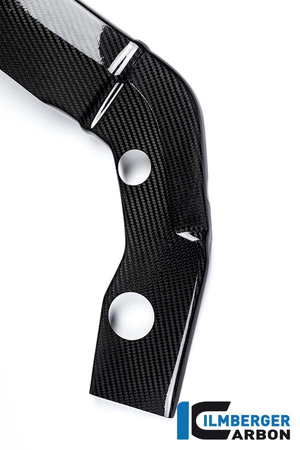 Nakładka na ramę lewa - carbon BMW S 1000 R (2014-2016) ILMBERGER RAL.217.S100N.K