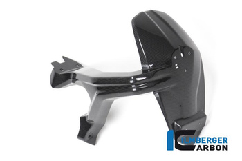 Osłona tylna przeciwbryzgowa do motocykla Einzelstcke Ducati Monster 1200 / 1200 S MY 2014-2016 - karbon błyszczący ILMBERGER SPS.003.D12MG.K