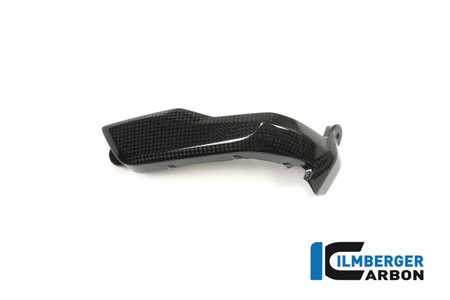 Osłona świecy zapłonowej lewa carbon - BMW R 1200 GS (LC) (2013-2016) ILMBERGER ZKL.001.LCBOX.K