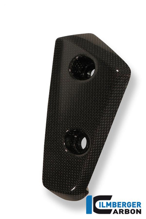 Lotka powietrzna przedniego błotnika prawa - carbon Triumph Speed Triple (2011-now) ILMBERGER KFR.022.TRSPT.K.