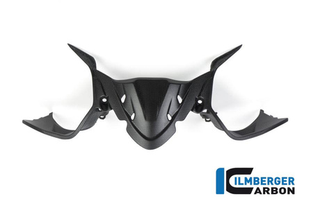 Panel instrumentów matowy carbon Ducati Panigale 1299 (od 2015) Einzelstcke Ducati - ilmbeger IAO.106.1299M.K.