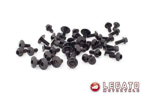 Zestaw śrub do motocykla EVOTECH RC MV Augusta