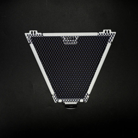 OSŁONA CHŁODNICY OLEJU RG RACING DUCATI PANIGALE V4, V4S and Speciale TITANIUM