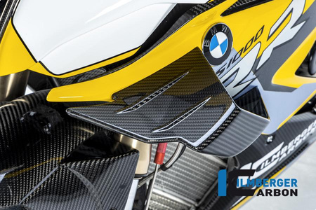 Flap owiewki lewy - BMW M 1000 RR Racing (2021-2022) ILMBERGER VFL.001.M121S.K