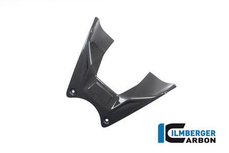 Osłona zbiornika paliwa do motocykla Ducati Diavel V4 (od 2023) - połysk ILMBERGER TAO.024.DI23G.K