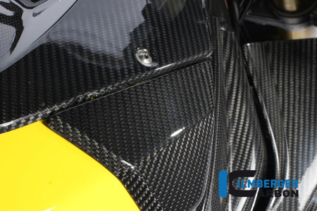 Panel boczny zbiornika (lewy) - carbon BMW S 1000 RR Racing (2009-2011) ILMBERGER SDL.071.S1RAB.K