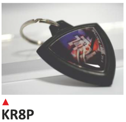 ONEDESIGN brelok na klucze, z dwustronną etykietą - TRIUMPH