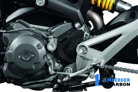 Osłona przednia zębatki - carbon do Ducati Monster 696 (2008-2009) ILMBERGER RIO.006.D696M.K
