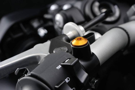 Śruba zaślepka do otworu lusterka  M10-P1.25/prawa złoty