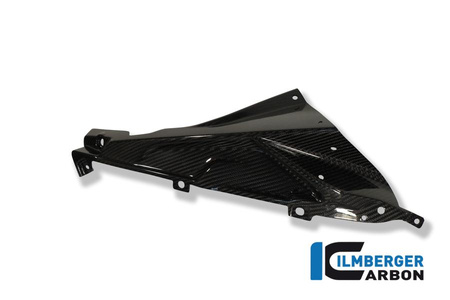 Panel boczny owiewki górny / uchwyt emblematu - carbon BMW S 1000 RR Straxe (2010-2014) / HP4 (od 2012) ILMBERGER VER.027.S100S.K