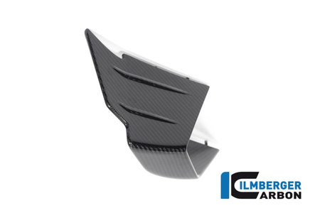 Flap owiewki lewy - BMW M 1000 RR Racing (2021-2022) ILMBERGER VFL.001.M121S.K